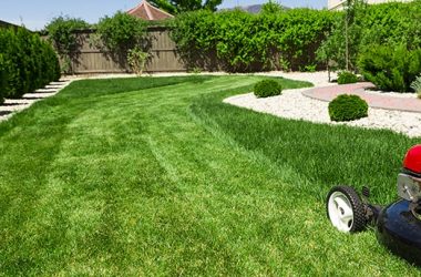 what-are-the-benefits-of-grass-cutting-lawn-mowing-f